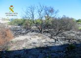 La Guardia Civil detiene a un octogenario como presunto autor de cuatro incendios forestales