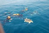 Una campaña de sensibilizacin explicar a bañistas y turistas cmo actuar si ven un intento de anidacin de tortugas marinas