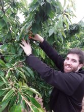 La Universidad de Lleida distingue una tesis de la UPCT sobre automatizacin de riego en cerezos