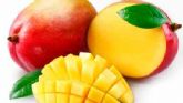 Nuevas Oportunidades Comerciales para el Mango de México en la Unión Europea