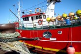 Planas valora el acuerdo de pesca entre la UE y Reino Unido porque 'da seguridad a los pescadores espanoles'