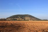 Unin de Uniones Regin de Murcia reclama una dotacin mnima de agua para la supervivencia de la DO Jumilla