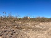 Abandonar las tierras agr�colas del Campo de Cartagena incrementa los riesgos ambientales para el Mar Menor