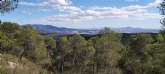 La Ley que recorta el Parque Regional de Sierra Espu�a ser� revisada por el Tribunal Constitucional