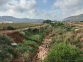 La CHS adjudica el proyecto de restauraci�n hidrol�gico forestal del barranco de Ponce y la rambla de Carrasquilla