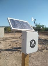 El CIFEA de Jumilla instala sensores de humedad para mejorar la gestin del uso del agua y fertilizantes en sus cultivos experimentales