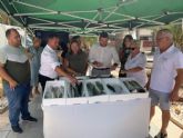 El consejero Antonio Luengo anima a consumir pescado de las costas de la Regin de Murcia