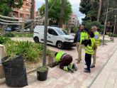 Parques y Jardines ultima los trabajos de limpieza de imbornales ante la previsin de fuertes lluvias