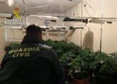 La Guardia Civil desmantela en Alguazas dos naves acondicionadas para el cultivo de marihuana 