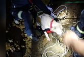 Rescatado un perro del pozo al que se haba cado en el interior de una mina en el Llano del Beal