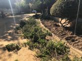 Las Concejalas de Parques y Jardines y de Empleo llevan a cabo labores de mantenimiento de las zonas verdes de Las Alamedas a travs de los participantes de los Consejos Comarcales
