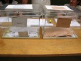 Residentes extranjeros de 12 pa�ses pueden solicitar su inscripci�n en el censo electoral hasta el 15 de enero para votar en las elecciones municipales