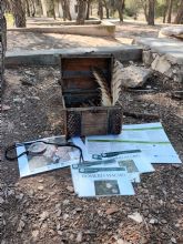 Los espacios naturales de la Región ofrecen esta semana cinco nuevas actividades