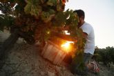 Vinoplacer apoya la recuperacin del patrimonio vitivincola español