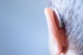 En España se desconoce el nmero de personas con prdida auditiva no tratada