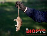 Biopyc ofrece soluciones para el control de roedores adaptadas a cualquier explotacin