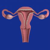 Psicofertilidad Natural explica cómo evitar el síndrome de ovario poliquístico