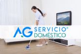 Servicio Domstico AG, cmo funciona una empresa de servicios domsticos