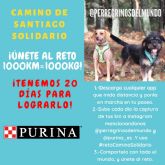 Purina y PeRRegrinos del Mundo lanzan la iniciativa #retoCaminoSolidario