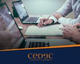 CEDEC, consultoria de empresas, ofrece las pautas para la confeccin de un plan financiero en la empresa