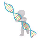 Expertos en traumatologa explican la diferencia entre clulas madre y plasma rico en plaquetas