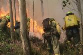 AEMET se integra en un equipo internacional para asesorar científicamente a Europa en materia de predicción del riesgo de incendios forestales