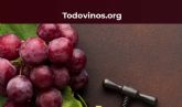 La función de las cápsulas de vino y su importancia