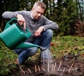 Segn Sprout World, el Covid-19 har el branding de las empresas ms ecolgico