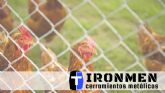 Cerramientos Ironmen: valiosos consejos para la eleccin correcta de las vallas metlicas