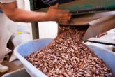 Crece el consumo de chocolate saludable en España, segn datos recogidos por Pacari