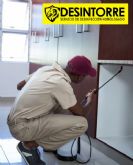 DESINTORRE: ¿Cmo luchar contra la aparicin de las plagas?