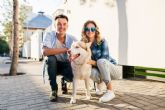 La custodia de las mascotas tras un divorcio segn Divorcio Sevilla