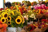 La campaña 'El motivo eres tú' anima a desestacionalizar el consumo de flores y plantas ornamentales