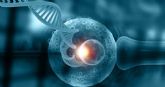 Las anomalas cromosmicas embrionarias se producen antes de la primera divisin celular del vulo recin fecundado