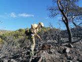 Continúan los trabajos de extinción del incendio en la Sierra de Carrascoy, que sigue activo			