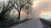 Incendio de vegetacin en los mrgenes del ro Segura, en Puebla de Soto		