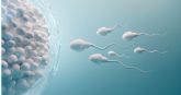 Claves para preservar la fertilidad en tiempos de la COVID