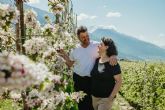 La floracin de los manzanos de Val Venosta: un espectculo de naturaleza