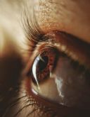 Interesante mesa redonda sobre el sndrome del Ojo Seco en Cione University