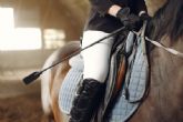 Equipamientos imprescindibles para la equitacin
