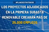 Los proyectos adjudicados en la primera subasta renovable crearn ms de 25.000 empleos
