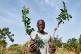 Smoking® colabora en el objetivo de plantar 54 millones de árboles en el África Subsahariana