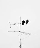 ¿Cómo funciona la antena del televisor?