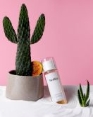 El higo chumbo: uno de los ingredientes m�s �xoticos de las formulaciones de Medik8