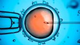 Activaci�n mec�nica asistida de �vulos en las fecundaciones in vitro facilita el progreso de los embriones