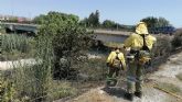 Incendio de canas en el cauce del río Segura, en Alguazas
