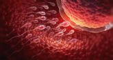 Confirman la eficacia de antioxidantes en la mejora de la fertilidad masculina
