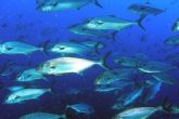 El Gobierno destinará 5,7 millones de euros para impulsar la gestión pesquera sostenible