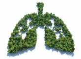 Sanidad estudia la factibilidad de los programas de cribado de cáncer de pulmón
