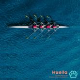 Motivos para proteger los datos